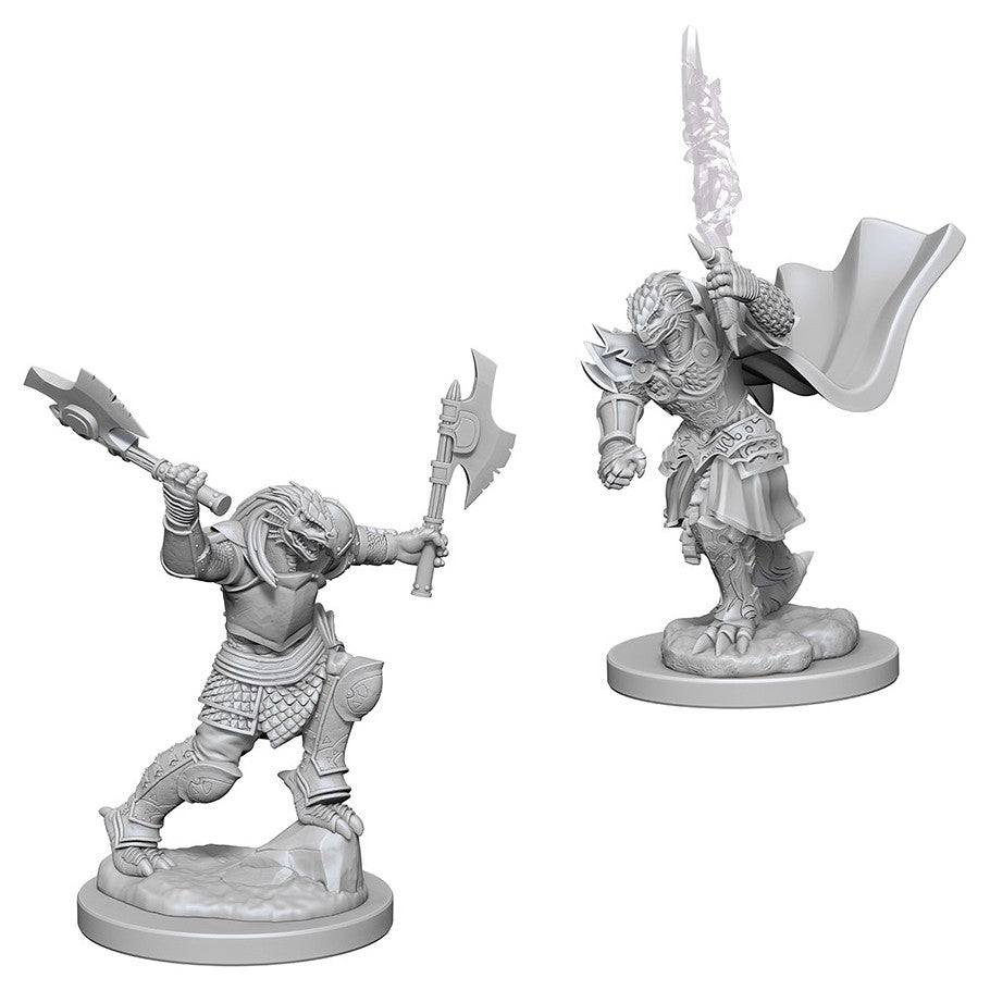 D&D Nolzur's Marvelous Miniatures: Female Dragonborn Fighter