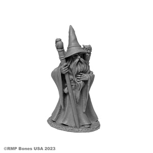 Reaper Bones USA: Anuminar Winterbeard, Wizard (07077)