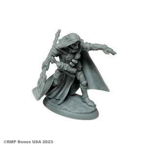 Reaper Bones USA: Elquin the Daring (30158)