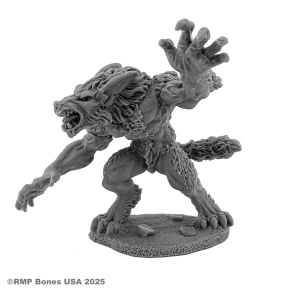 Reaper Bones USA: Jean Paul Duchamps, Werewolf (30202)