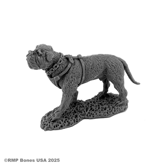 Reaper Bones USA: Garr, War Dog (30203)