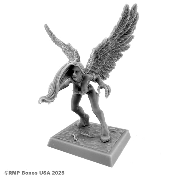 Reaper Bones USA: Raven (30230)