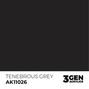 AK Interactive 3GEN: Tenebrous Grey (17ml) (AK11026) – Gnomish Bazaar