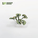 GamersGrass: Laser Plants - Bugloss (GGLP-BL)