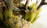All Game Terrain - Cattails (G6633)