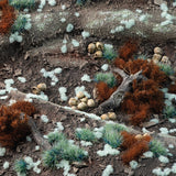 GamersGrass: Tufts - Tiny Pale Teal (1mm Tiny) (GGTT-PT)