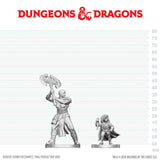 D&D Nolzur's Marvelous Miniatures: Goliath Barbarian & Halfling Rogue (90884)