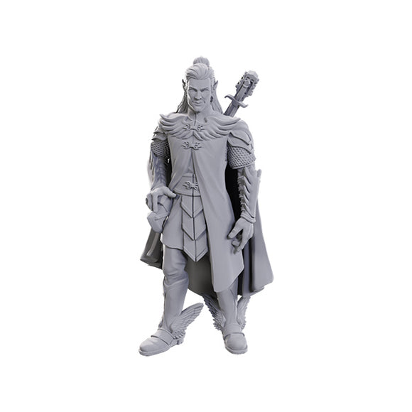 Critical Role Unpainted Miniatures: Dorian Storm (90723)