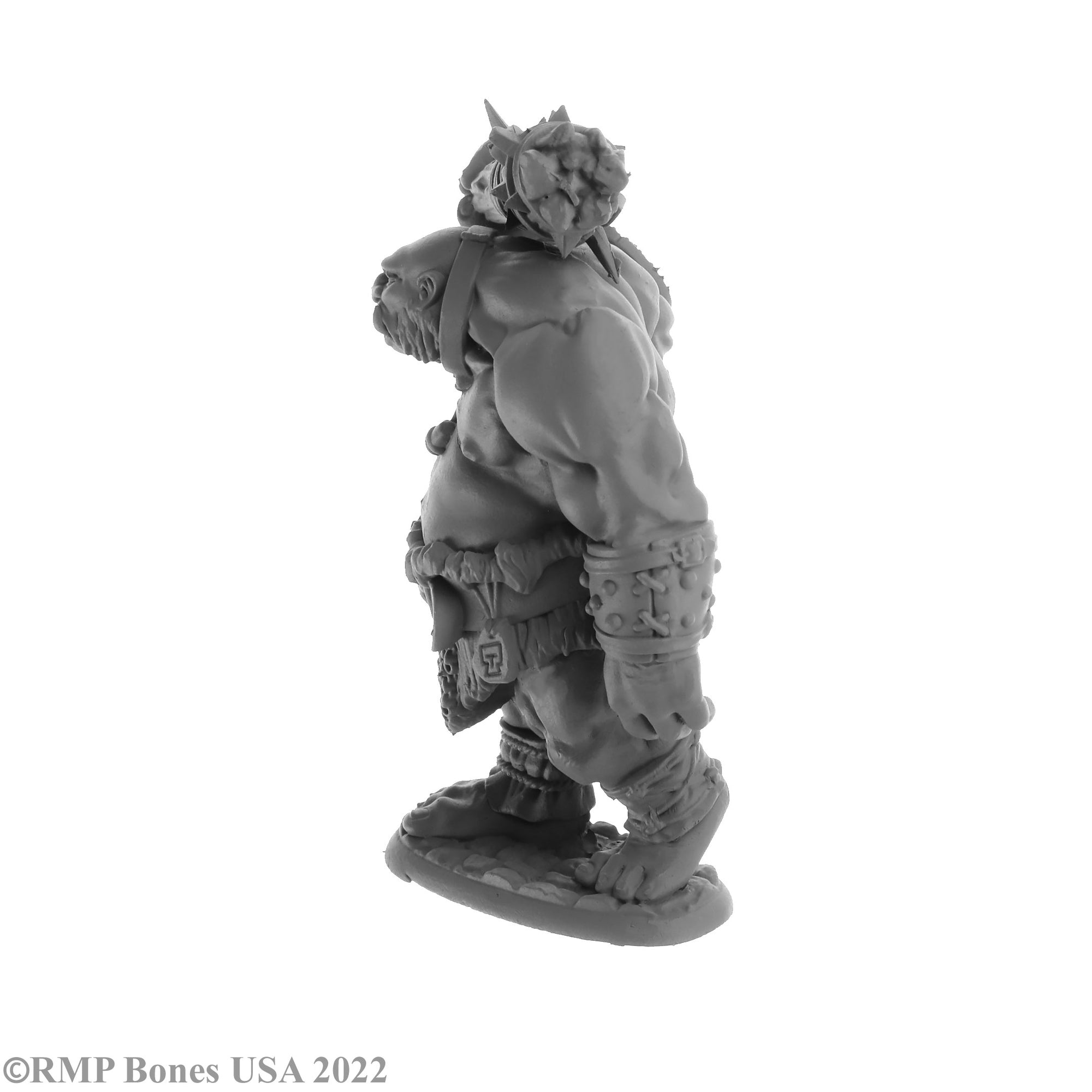 Reaper Bones USA: Ogre Guard (07063) – Gnomish Bazaar
