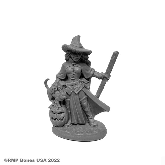 Reaper Bones USA: Cynthia the Wicked Witch (30103)