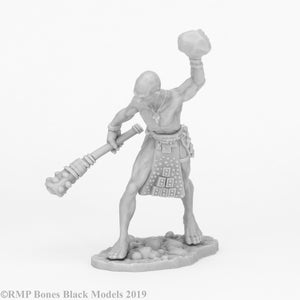 Reaper Bones Black: Stone Giant Guard (Huge) (44085)