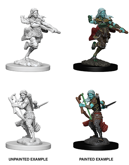 D&D Nolzur's Marvelous Miniatures: Air Genasi Rogue (Female) (73204 ...