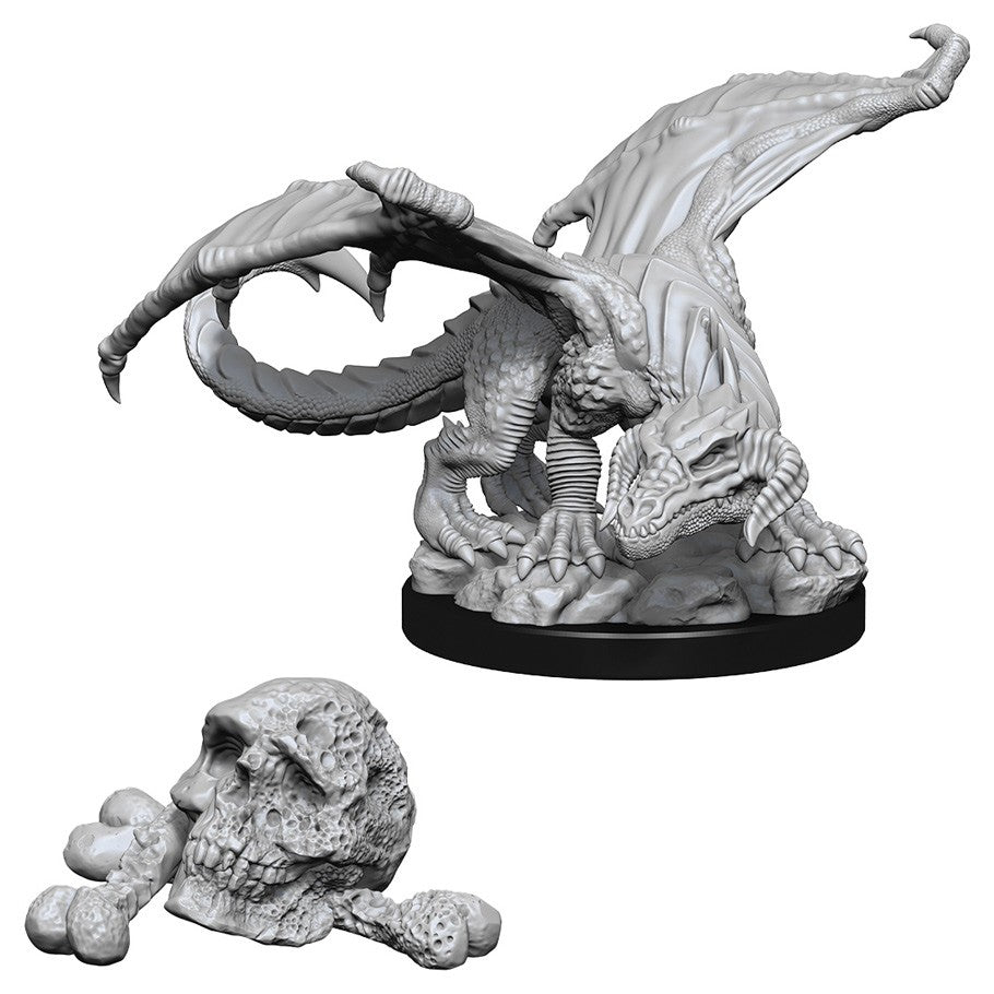 Dnd Silver Dragon Wyrmling