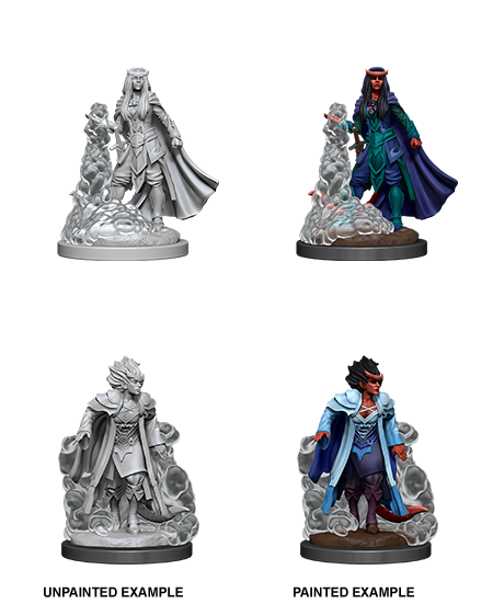 1/6　未塗装 未組立　フィギュア　ガレージキット　Tiefling Lady Amazon | 1/24レジンモデルフィギュアキットGK、女性役、未組み立て未