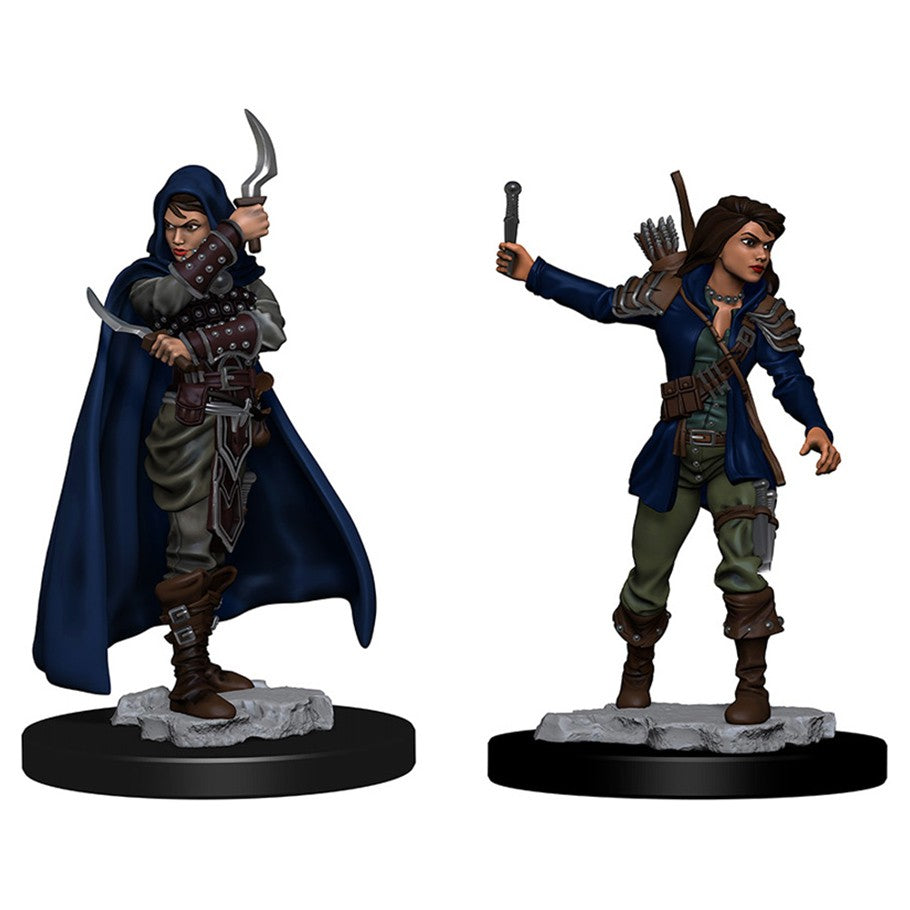Pathfinder Deep Cuts Unpainted Miniatures - Human Male Rogue Pathfinder Deep Cuts Unpainted Miniatures - Human Male Rogue